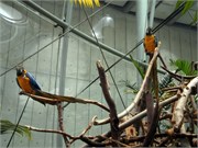 04162011_San Francisco_96